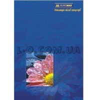 Книга учета офсетная А4 96л BuroMax