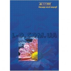 Книга учета офсетная А4 96л BuroMax