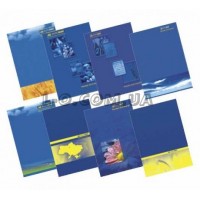 Книга учета лакированная А4 96л офсетная BuroMax